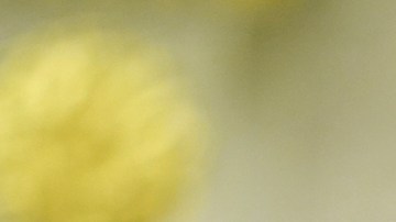 ¿Joe Biden firmó indultos sin saberlo? Donald Trump cuestionó su lucidez