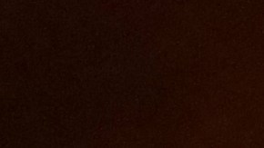 donald-trump-cheque-de-estimulo