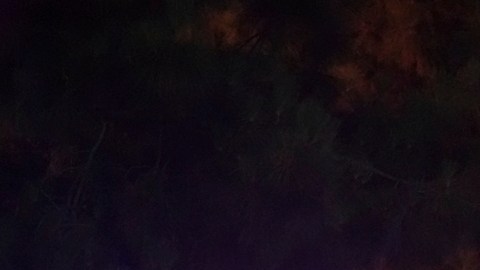 Acusan a conductor de intento de asesinato tras embestida masiva en club nocturno de Los Ángeles