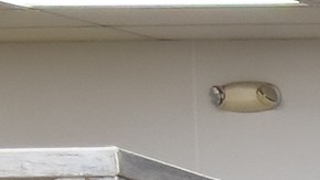 Por qué cada vez es más difícil que hispanos encuentren trabajo en Estados Unidos