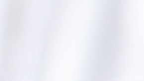 El pan rallado contaminado con Listeria es el causante del retiro del lote de ensaladas de jamón, informó el FSIS.