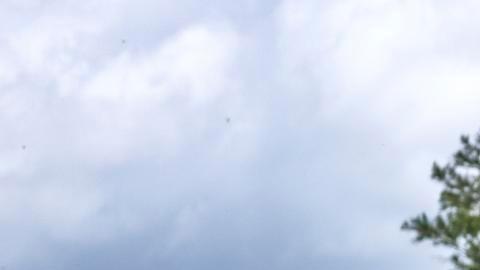 Entrada al nuevo centro de detención Alligator Alcatraz en Ochopee, Florida, EE. UU., el 14 de julio de 2025.