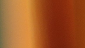 La flor de Jamaica tiene biocompuestos que ayuda a combatir los efectos de los radicales libres, controlar los niveles de azúcar en sangre y prevenir enfermedades cardiovasculares.