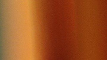 La flor de Jamaica tiene biocompuestos que ayuda a combatir los efectos de los radicales libres, controlar los niveles de azúcar en sangre y prevenir enfermedades cardiovasculares.