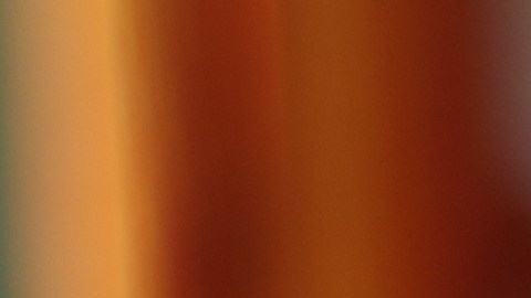 La flor de Jamaica tiene biocompuestos que ayuda a combatir los efectos de los radicales libres, controlar los niveles de azúcar en sangre y prevenir enfermedades cardiovasculares.