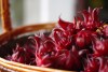 La flor de Jamaica tiene biocompuestos que ayuda a combatir los efectos de los radicales libres, controlar los niveles de azúcar en sangre y prevenir enfermedades cardiovasculares.