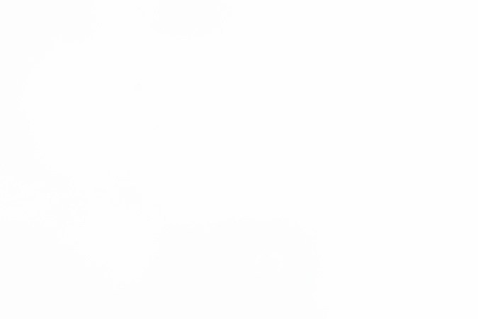 Los alimentos con moho se deben descartar aunque tenga solo una pequeña parte con moho.