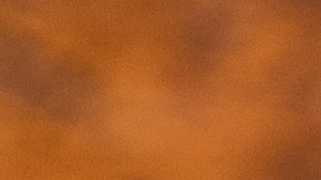 Los germinados fueron enviados a tiendas minoristas del país.