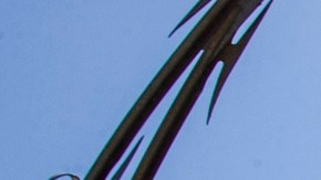 DHS publicó lista con nombres de los "peores migrantes criminales" presos en Guantánamo