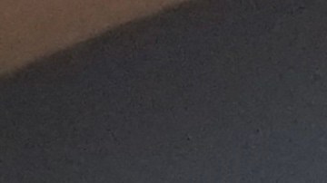 Más allá de la denuncia, Somos Guardianes es un homenaje a la resistencia.