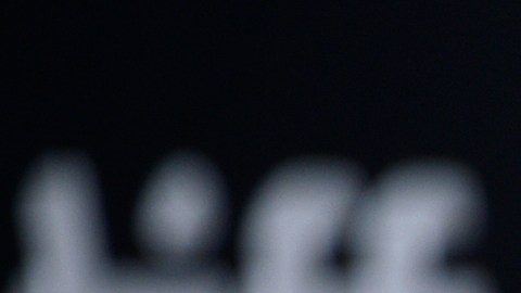 Harry Styles mostró una conexión evidente con la chica desde el primer momento.