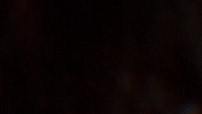 Los hogos fueron distribuidos desde una empresa en Nueva Jersey a un supermercado de Nueva York.