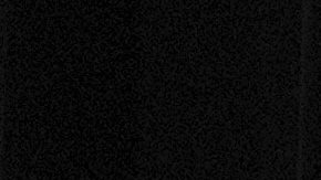 Protesta contra redadas en contexto mundialista.