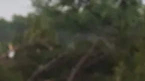 Leighton Sterling, una vecina de Kerrville, observa el desbordado río Guadalupe en Texas.