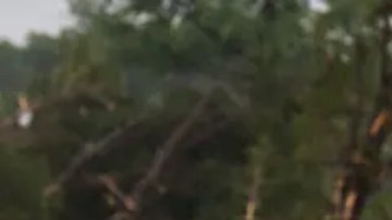 Leighton Sterling, una vecina de Kerrville, observa el desbordado río Guadalupe en Texas.