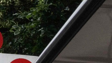 ¿Qué llevó a Donald Trump a expulsar a Jeffrey Epstein de su club por “traidor”?