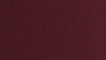 Josh Lucas y Brianna Ruffalo se casaron oficialmente a un año de haberse comprometido en Italia.