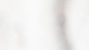 Aprovecha las propiedades del perejil con una receta de jugo verde.