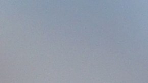 Beber jugo de remolacha favorece la salud intestinal.