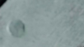 Solo por el 18 de julio Krispy Kreme venderá docenas de donas por 88 centavos.