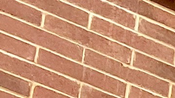 kroger-cambios-politica-de-cupones