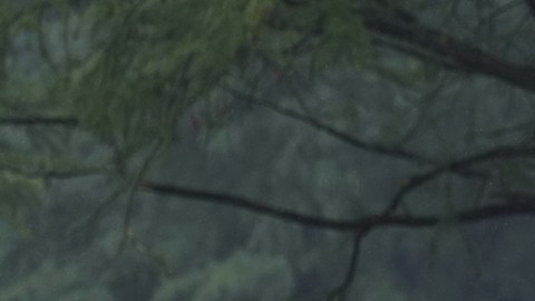 Las inundaciones en Texas dejan al menos 13 muertos y decenas de desaparecidos