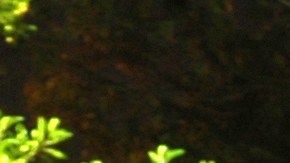 loteria-maryland-camion-motel