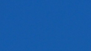 Pastor hondureño salió de McDonald's y fue seguido por ICE solo por “parecer hispano”