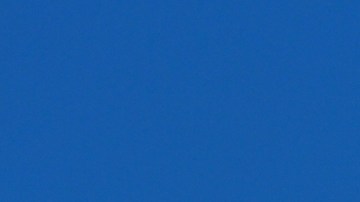 Pastor hondureño salió de McDonald's y fue seguido por ICE solo por “parecer hispano”