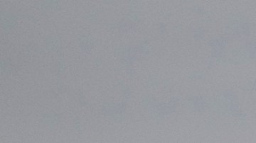 Así llegaron a Venezuela los 252 venezolanos tras ser liberados en El Salvador