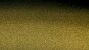 Los errores de acuñación, así como el estado de conservación y la certificación aumentan significativamente el valor de una moneda.