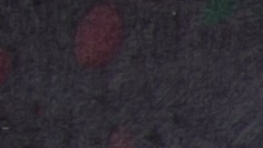 Los siete tipos de mortadelas fueron distribuidos en todo el país a mayoristas y minoristas.