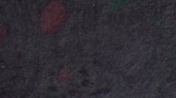 Los siete tipos de mortadelas fueron distribuidos en todo el país a mayoristas y minoristas.