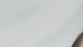 Bukele responde con sarcasmo a Hunter Biden: “¿Está inhalando leche en polvo?”