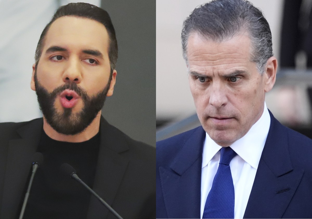 Bukele responde con sarcasmo a Hunter Biden: “¿Está inhalando leche en polvo?”