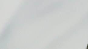 ¿Qué dijo Nayib Bukele tras la liberación de los migrantes venezolanos presos en el Cecot?