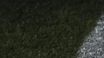 Pete Alonso (20) celebra con Francisco Lindor durante el encuentro entre los Mets y los Yankees.