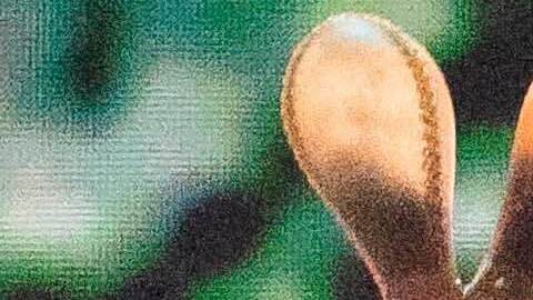 El comentario de Gallagher llega luego de que una escena de la "kiss cam" del concierto de Coldplay se hiciera viral después de que captara a una pareja de infieles.