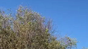 Sigue la búsqueda de desaparecidos.