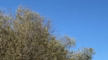 Sigue la búsqueda de desaparecidos.