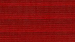 Oscar Piastri (d) celebra el doblete de McLaren con Lando Norris en el GP de Bélgica.