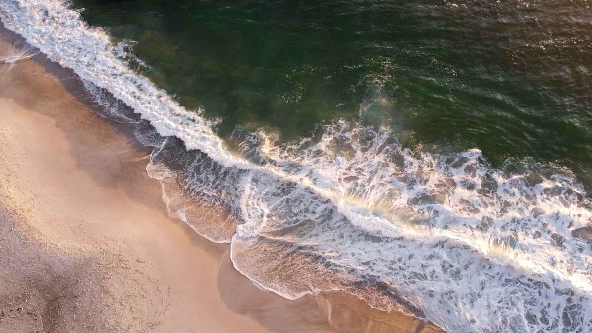 Se grabó nadando en una playa y sus seguidores le advierten que se sumergió en "aguas residuales"