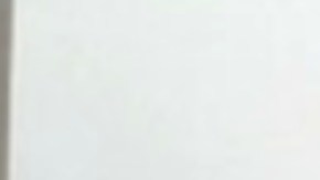 Esta foto del ICE muestra a Jon Luke Evans, un inmigrante indocumentado de origen jamaiquino que trabajaba como policía en Maine.