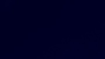 Invitó a 200 personas a su cumpleaños, pero solo llegaron 40 por miedo a redadas del ICE