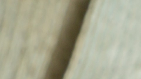 Hay alimentos con más proteínas que el huevo y con mayor índice nutricional.