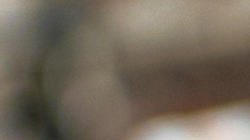 retiro-huevos-salmonela