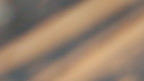 Consumidores reportaron la presencia de plástico en las salchichas de pollo de la empresa Kayem Foods.