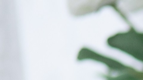 seguro-social-fallecimeinto-ex-pareja