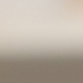 La salud preventiva demuestra que pequeñas acciones cotidianas pueden prolongar la vida de las mascotas.