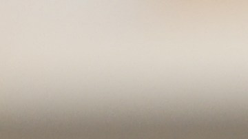 La salud preventiva demuestra que pequeñas acciones cotidianas pueden prolongar la vida de las mascotas.